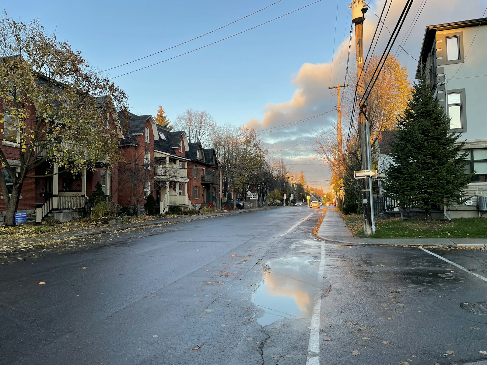 Tree-lined residential street