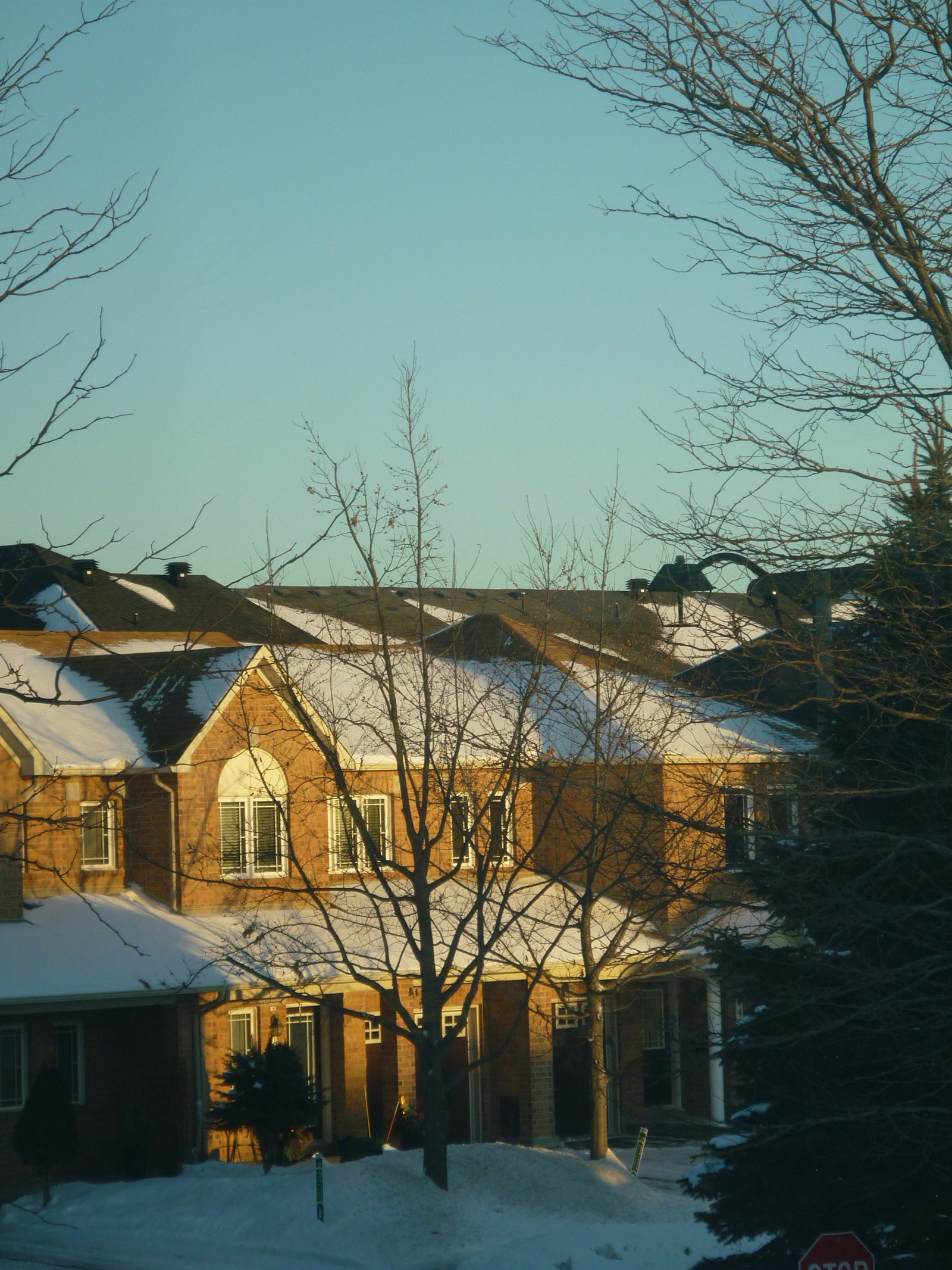 Brick houses on a sunny winter day